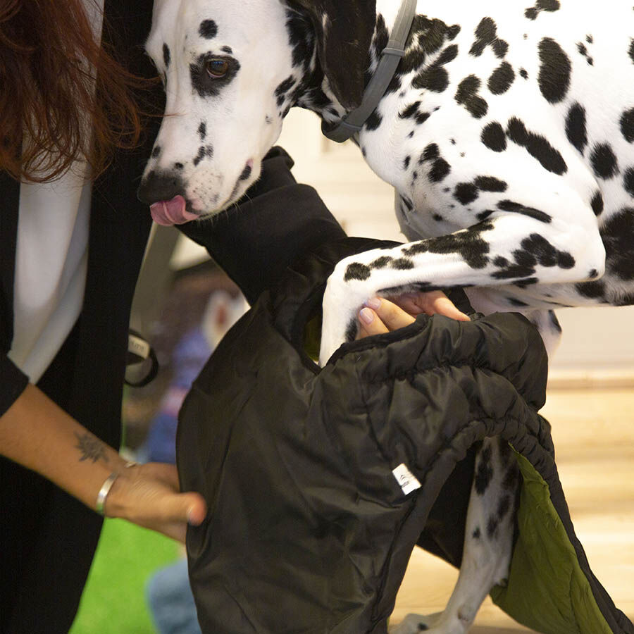 Outech White Mountain Casaco para c&atilde;es, , large Imagem n&uacute;mero 4